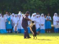 /album/k9-dog-demonstration-by-pdrm1/k9-4-jpg1/